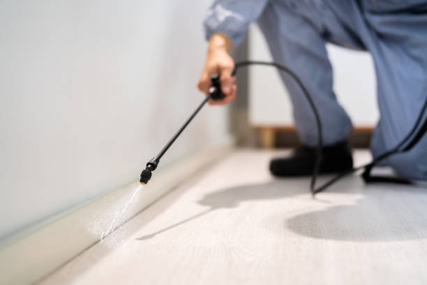 Licensed Termite Control service in North Springfield, VA - Nex Pest Control
