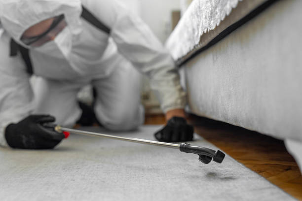 Professional Termite Control technician working in North Springfield, VA