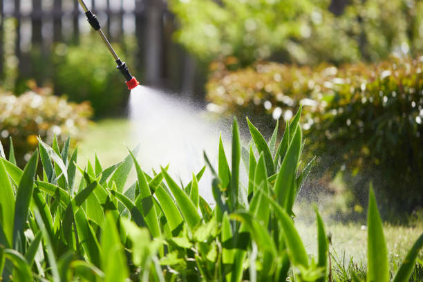 24/7 Emergency Termite Control experts in North Springfield, VA