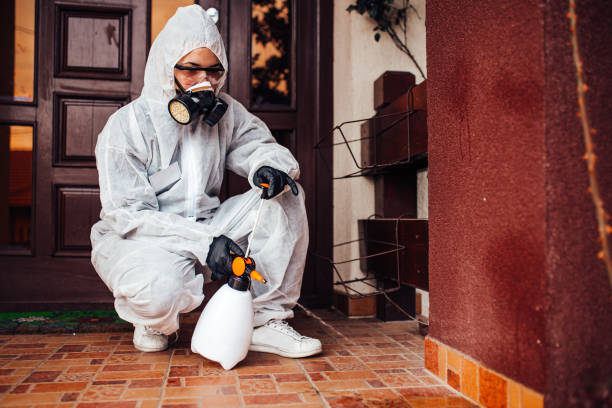 Reliable Termite Control contractor in North Springfield, VA by Nex Pest Control