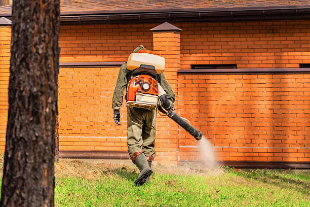 Top rated local Termite Control specialists in North Springfield, VA